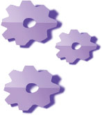 Corporate Governance