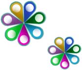 總辦事處工作匯報