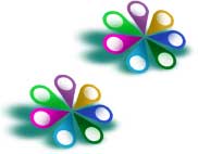 Head Office and Cluster Reports