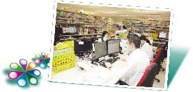 Head Office Report: Photo 8