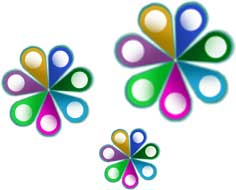 Head Office and Cluster Reports