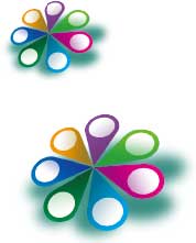 Head Office and Cluster Reports