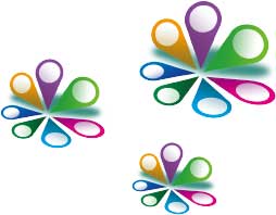 Head Office and Cluster Reports