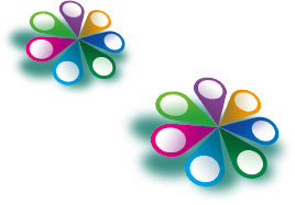 Head Office and Cluster Reports