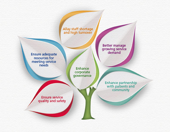 Corporate Strategies