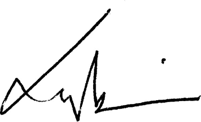 Chief Executive signature