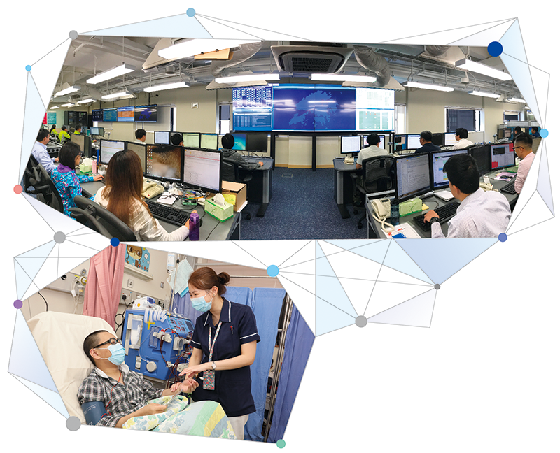 Head Office Report: Photo