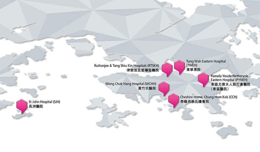港島東醫院聯網(港島東聯網)工作匯報