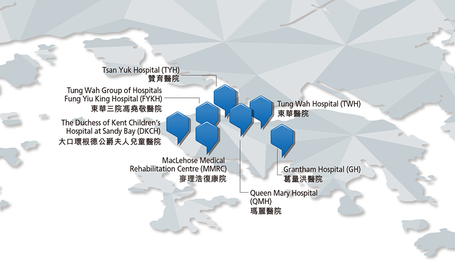 港島西醫院聯網(港島西聯網)工作匯報