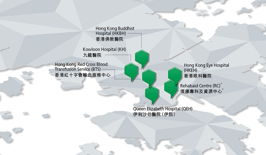 九龍中醫院聯網(九龍中聯網)工作匯報
