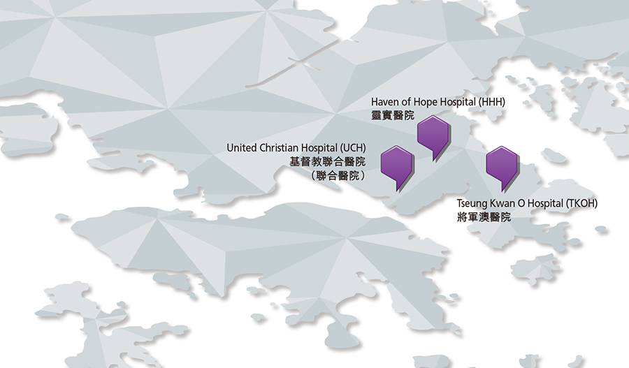 九龍東醫院聯網(九龍東聯網)工作匯報