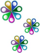 Head Office and Cluster Reports