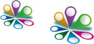 Head Office and Cluster Reports