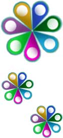 Head Office and Cluster Report