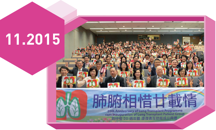 2015年11月