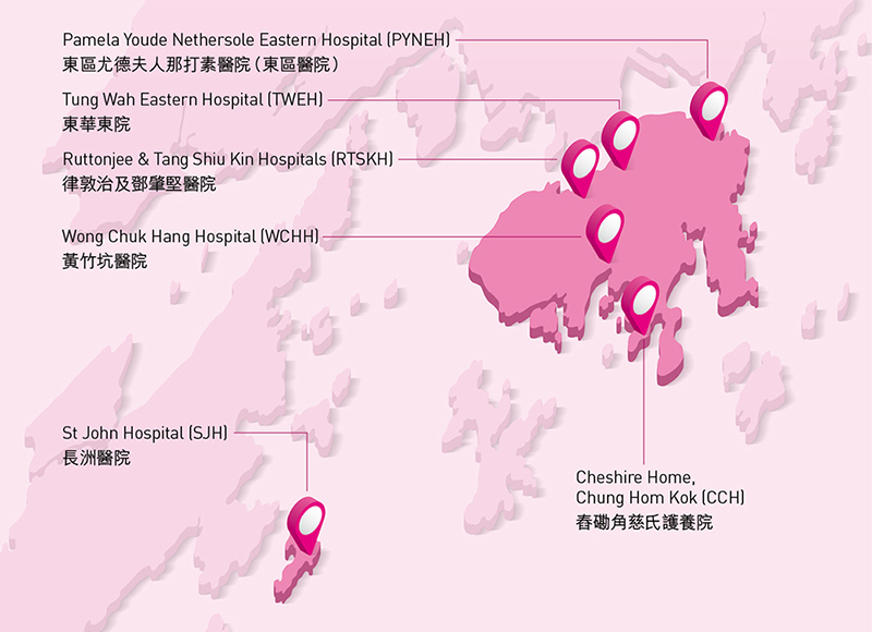 港島東醫院聯網(港島東聯網)工作匯報