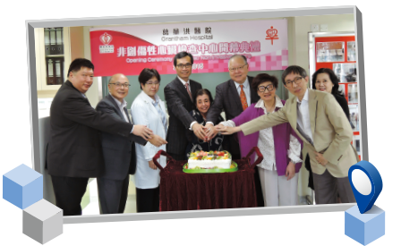港島西醫院聯網工作匯報：圖片三