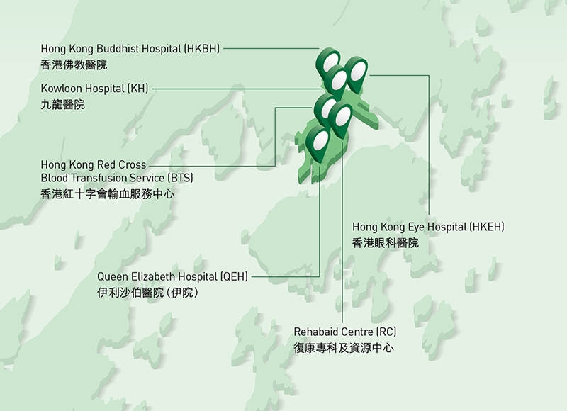 九龍中醫院聯網(九龍中聯網)工作匯報