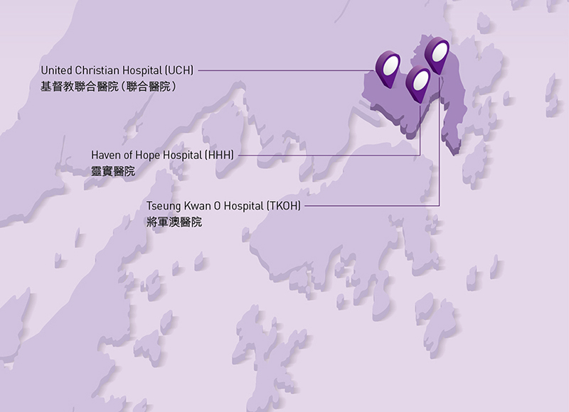 九龍東醫院聯網(九龍東聯網)工作匯報