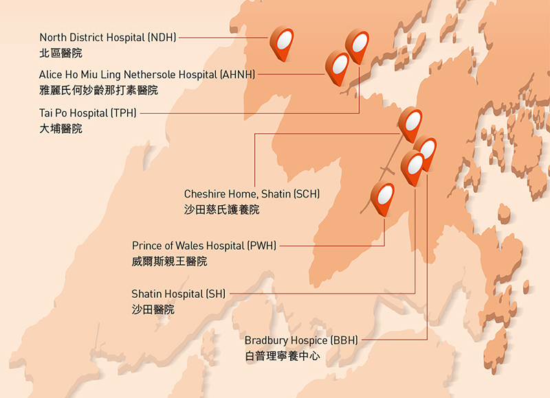 新界東醫院聯網(新界東聯網)工作匯報