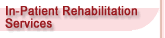 In-Patient Rehabilitation Services