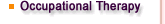 Occupational Therapy